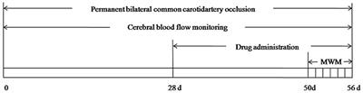 β-Caryophyllene/Hydroxypropyl-β-Cyclodextrin Inclusion Complex Improves Cognitive Deficits in Rats with Vascular Dementia through the Cannabinoid Receptor Type 2 -Mediated Pathway